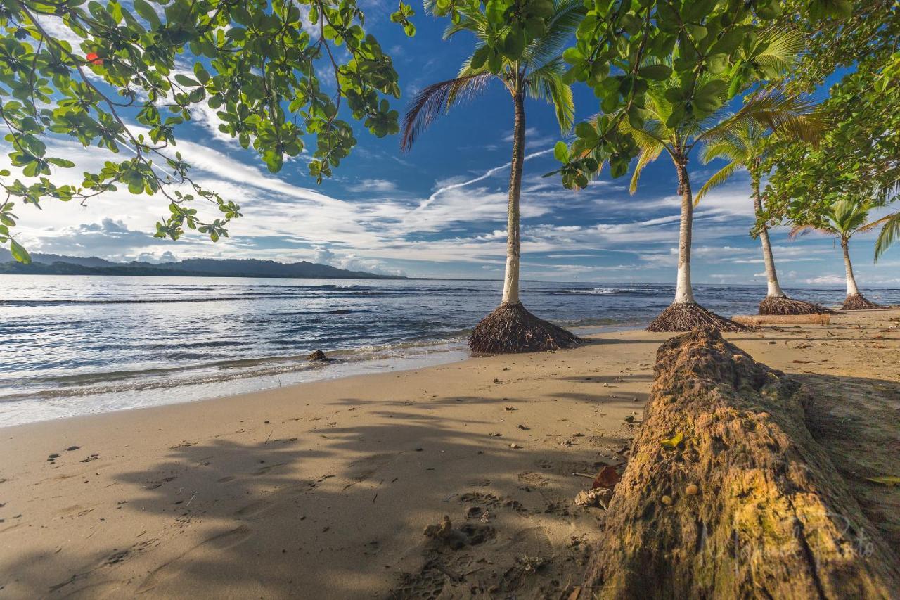 Вилла Casa Ylang In Black Sand Beach Puerto Viejo de Talamanca Экстерьер фото